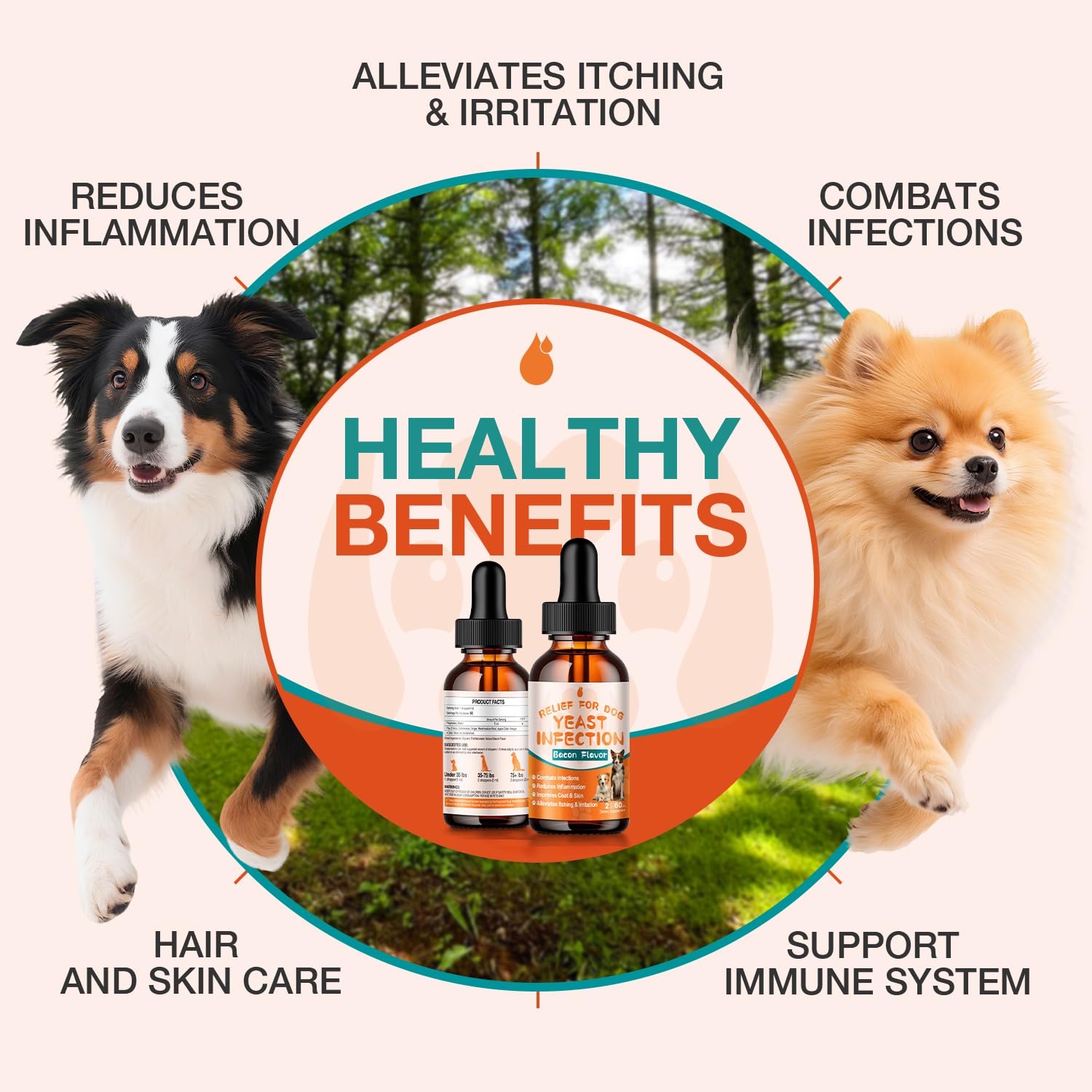 MaxHemp gouttes levure chien - soin pattes, réduction du léchage.