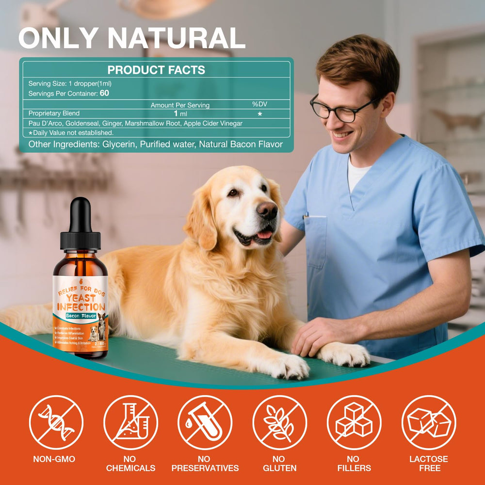 MaxHemp gouttes levure chien - amélioration de la peau et du pelage.