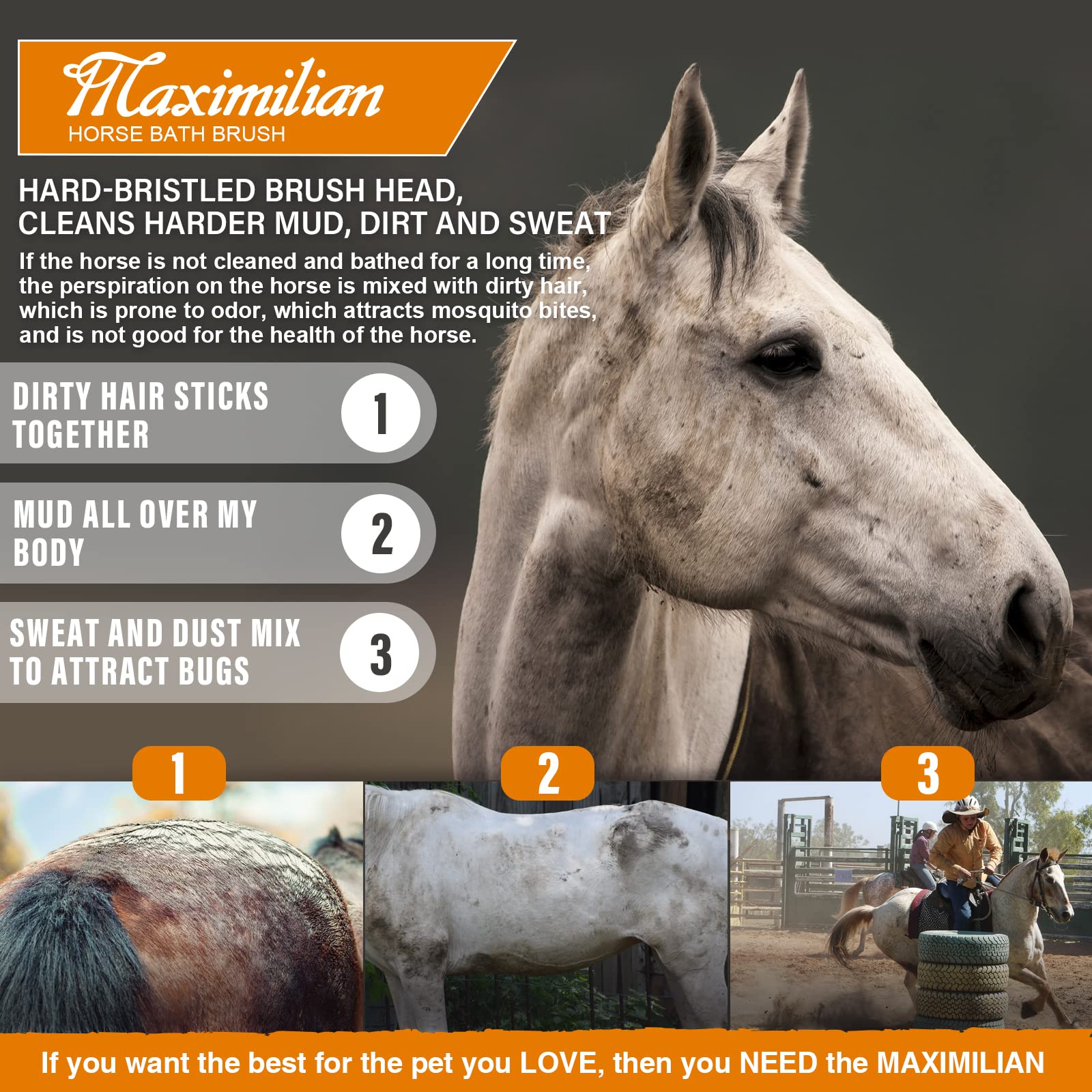 MAXIMILIAN : produit de haute qualité et durable.