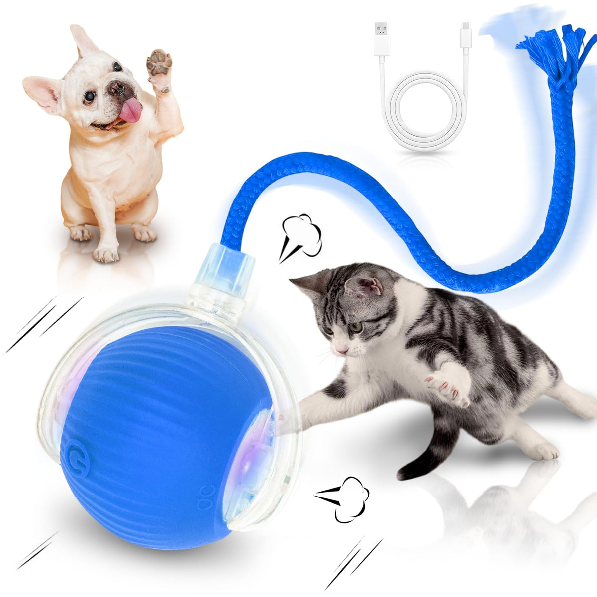 MAXTOOA balle interactive pour chats d’intérieur en mouvement, idéale pour l’enrichissement quotidien.