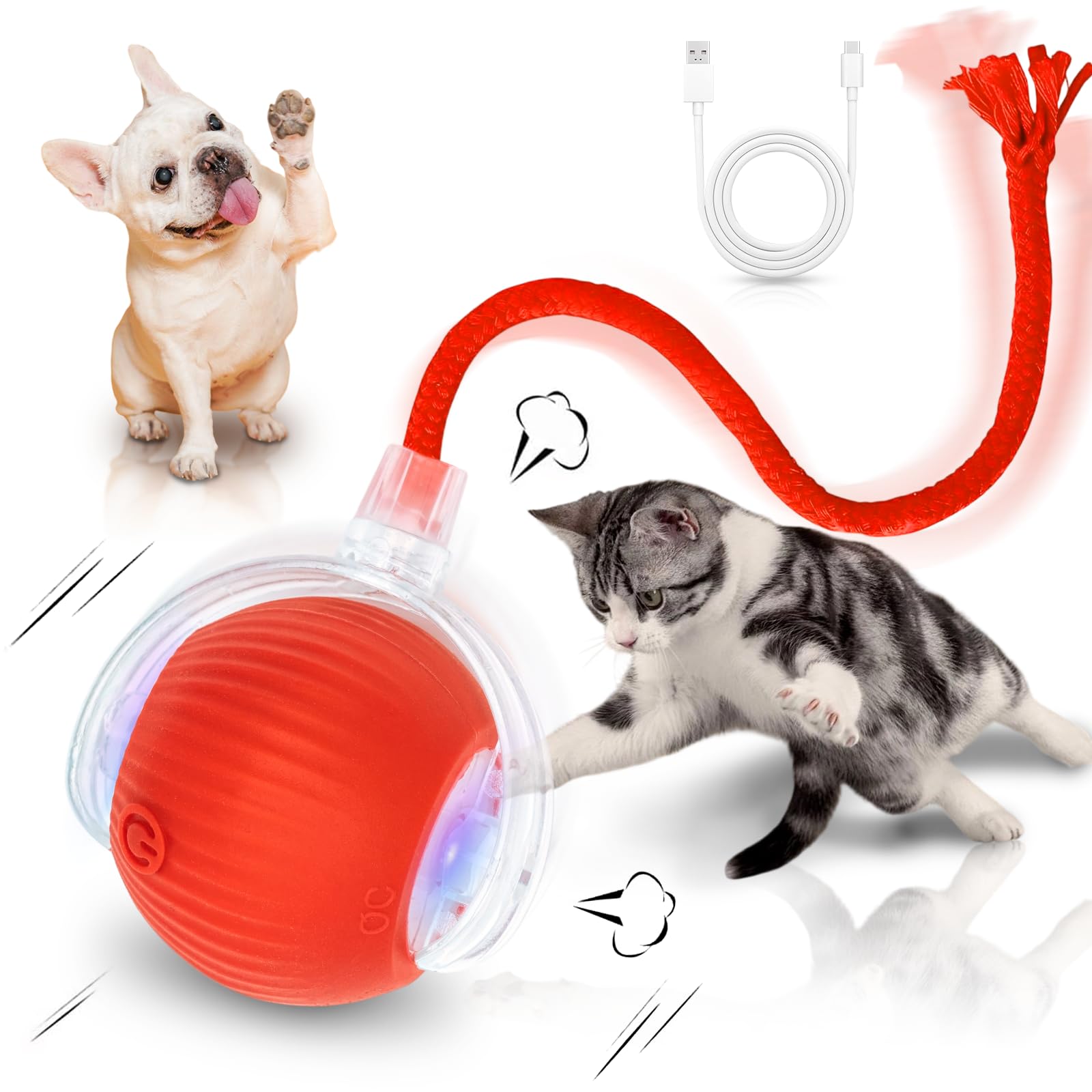 MAXTOOA balle interactive pour chat en intérieur, stimulation mentale et sécurité.