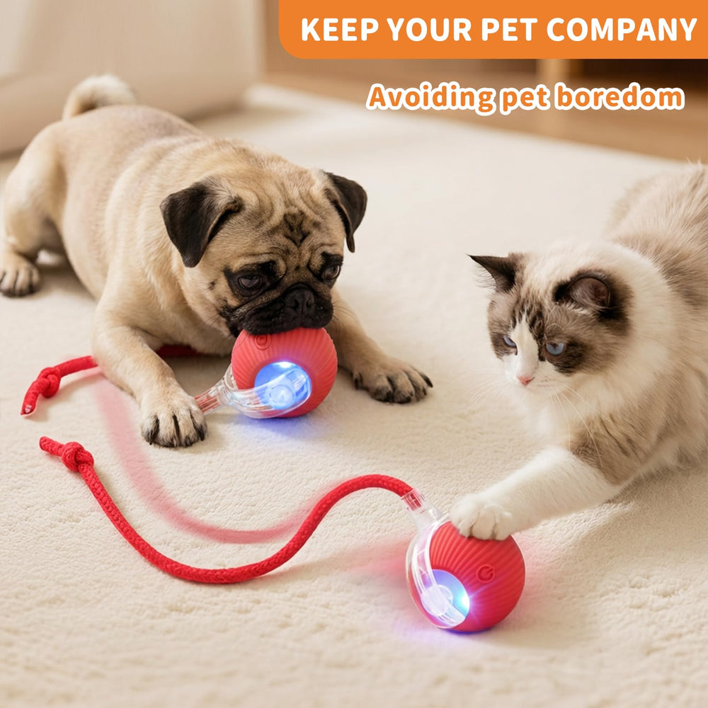 MAXTOOA balle rapide pour chat sur tapis, favorise l’exercice actif.