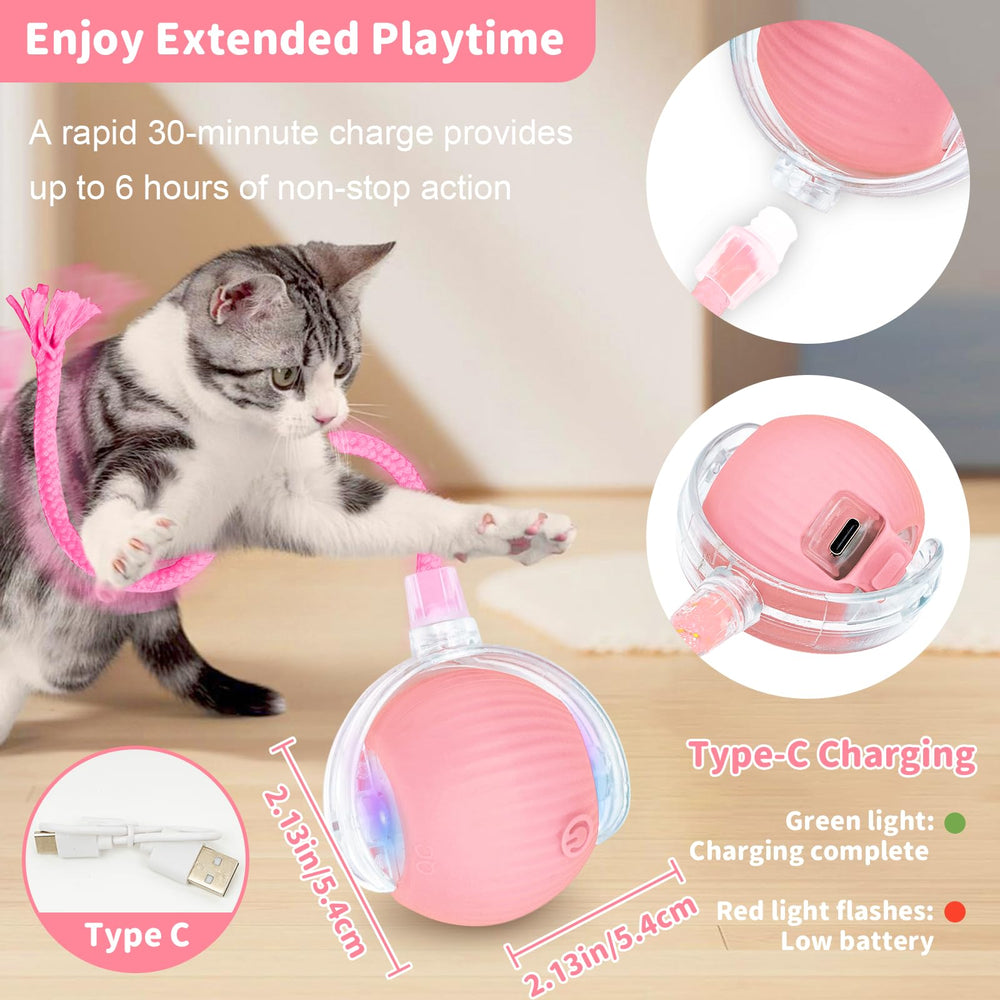 MAXTOOA mode interactif rapide pour chats dynamiques sur tapis.