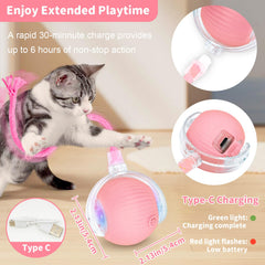 MAXTOOA mode interactif rapide pour chats dynamiques sur tapis.
