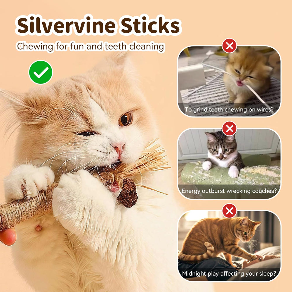 MAXTOOA trois-batons-silvervine-interieur: stimulation durable et réduction de l’ennui.