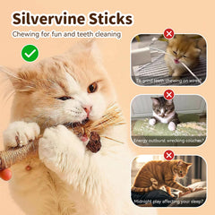 MAXTOOA trois-batons-silvervine-interieur: stimulation durable et réduction de l’ennui.