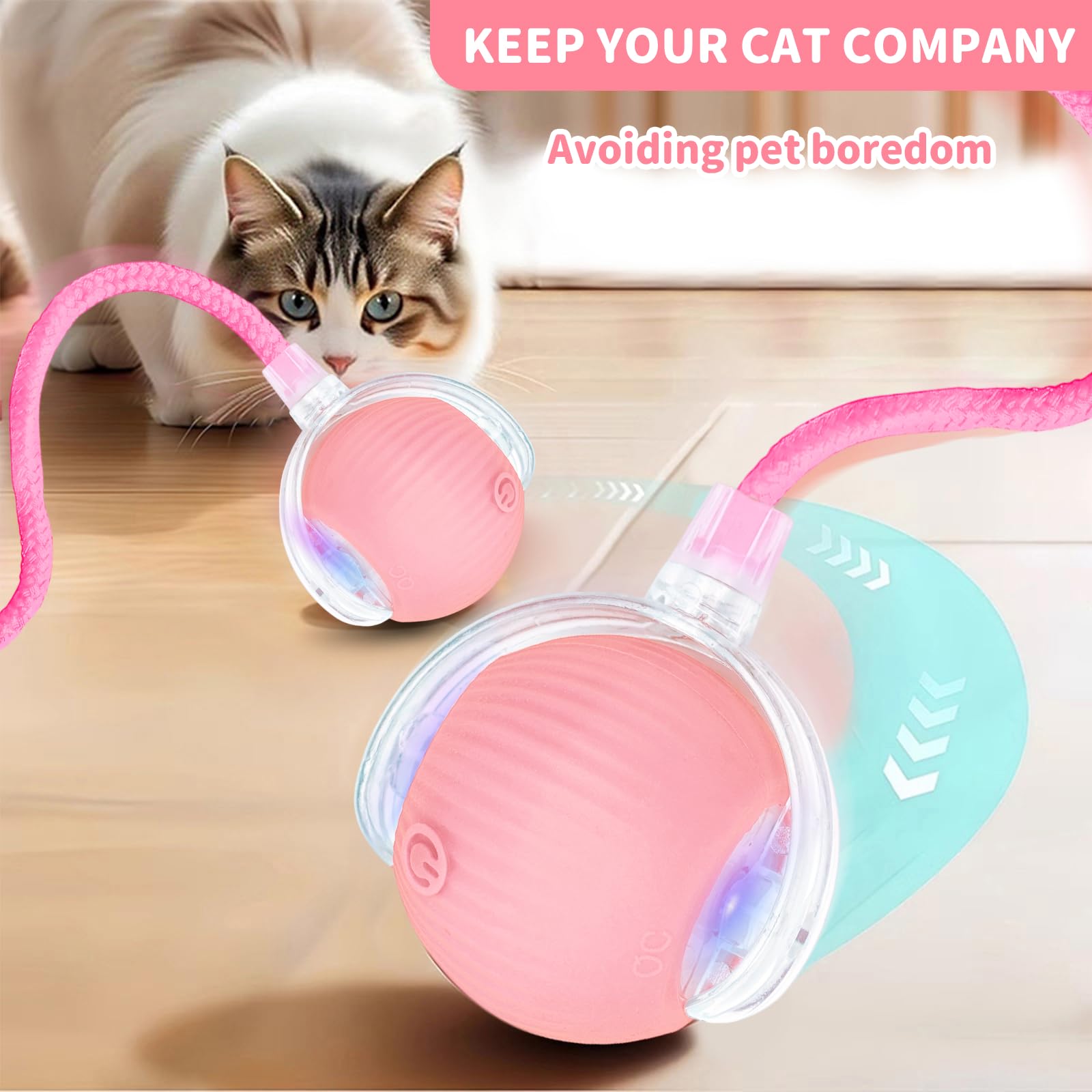 MAXTOOA usage en appartement pour chats et petits chiens, jeu sans encombrement.