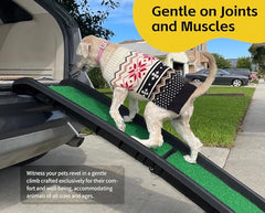 MaxWorks PawStep rails latéraux securite, empêche les glissades pour tous les animaux.