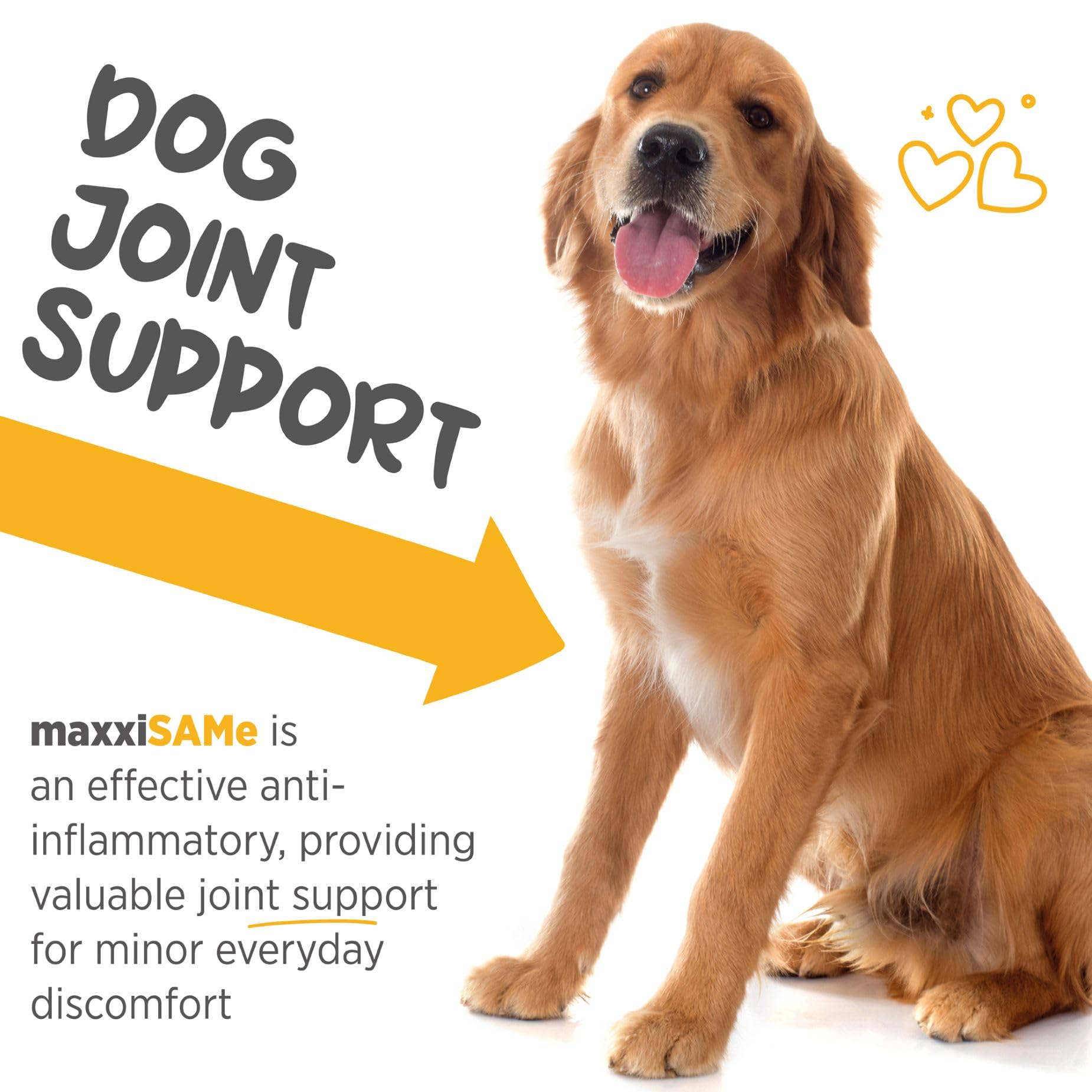 Ingrédients artichaut et vitamines, maxxipaws maxxisame pour le métabolisme.