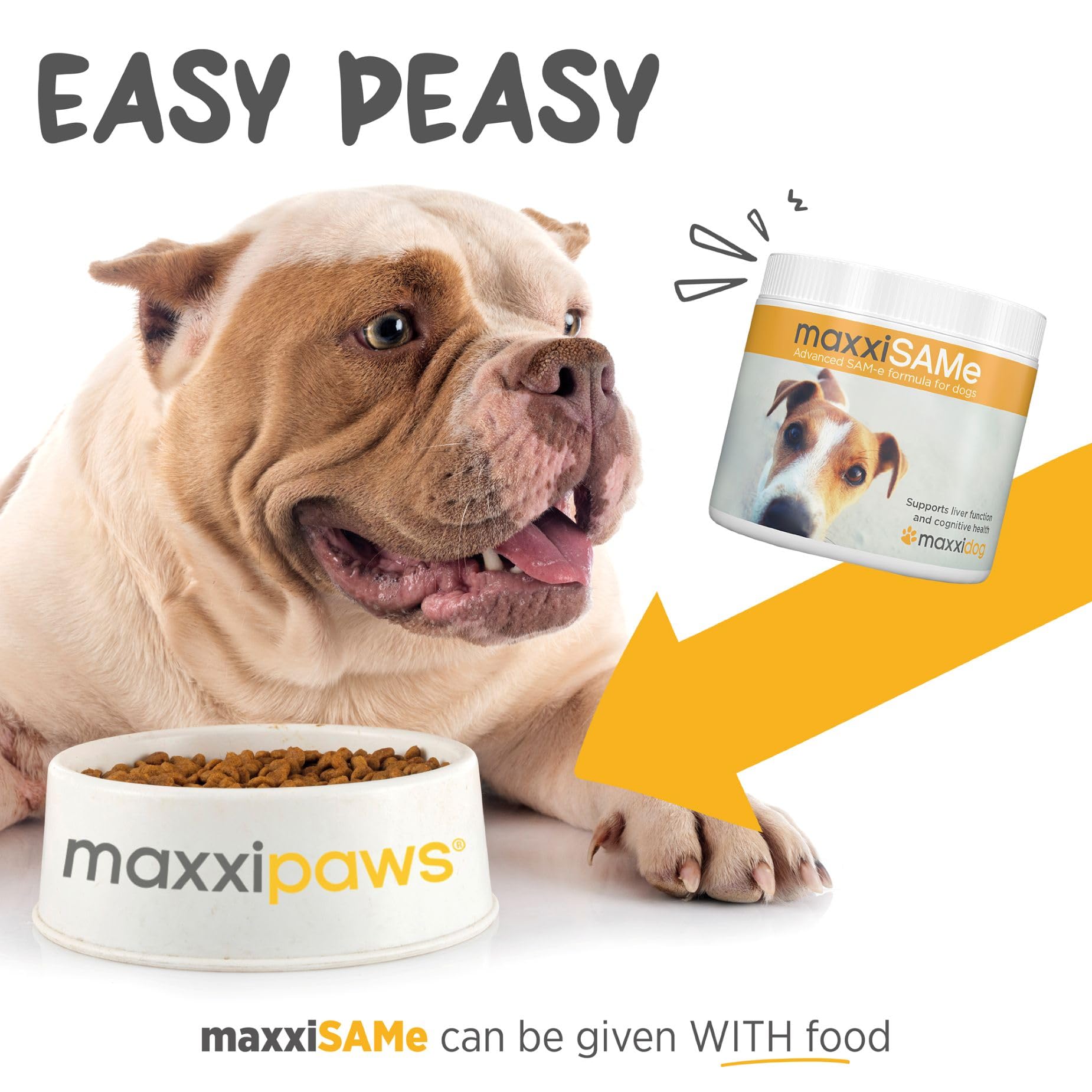 Vitamines B dans maxxipaws maxxisame pour soutenir le métabolisme.