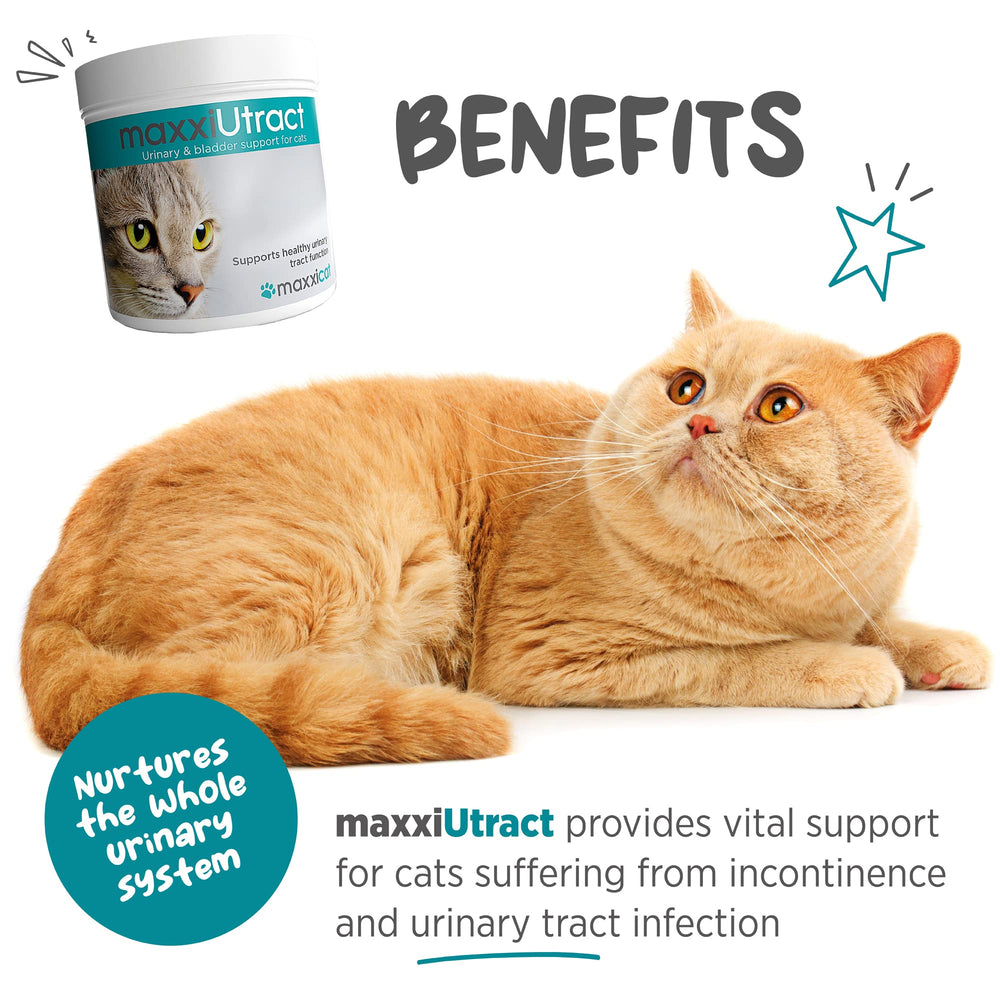 Maxxipaws maxxiuttract cuillère-dose : administration rapide et précise