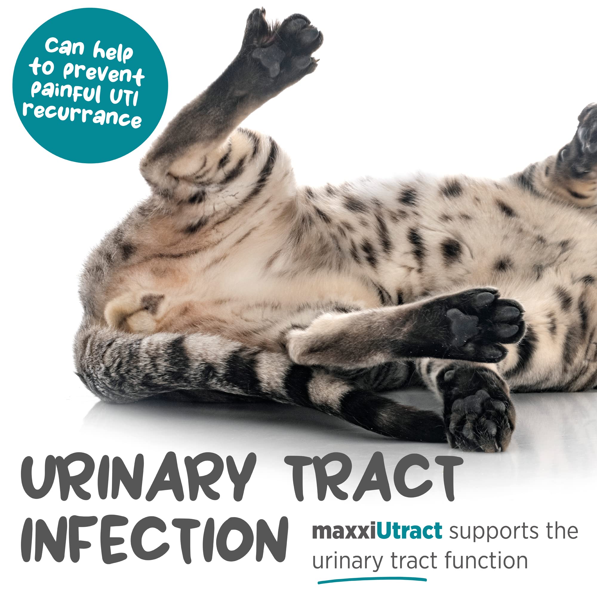 Maxxipaws maxxiuttract emballage bouteille pratique pour le rangement