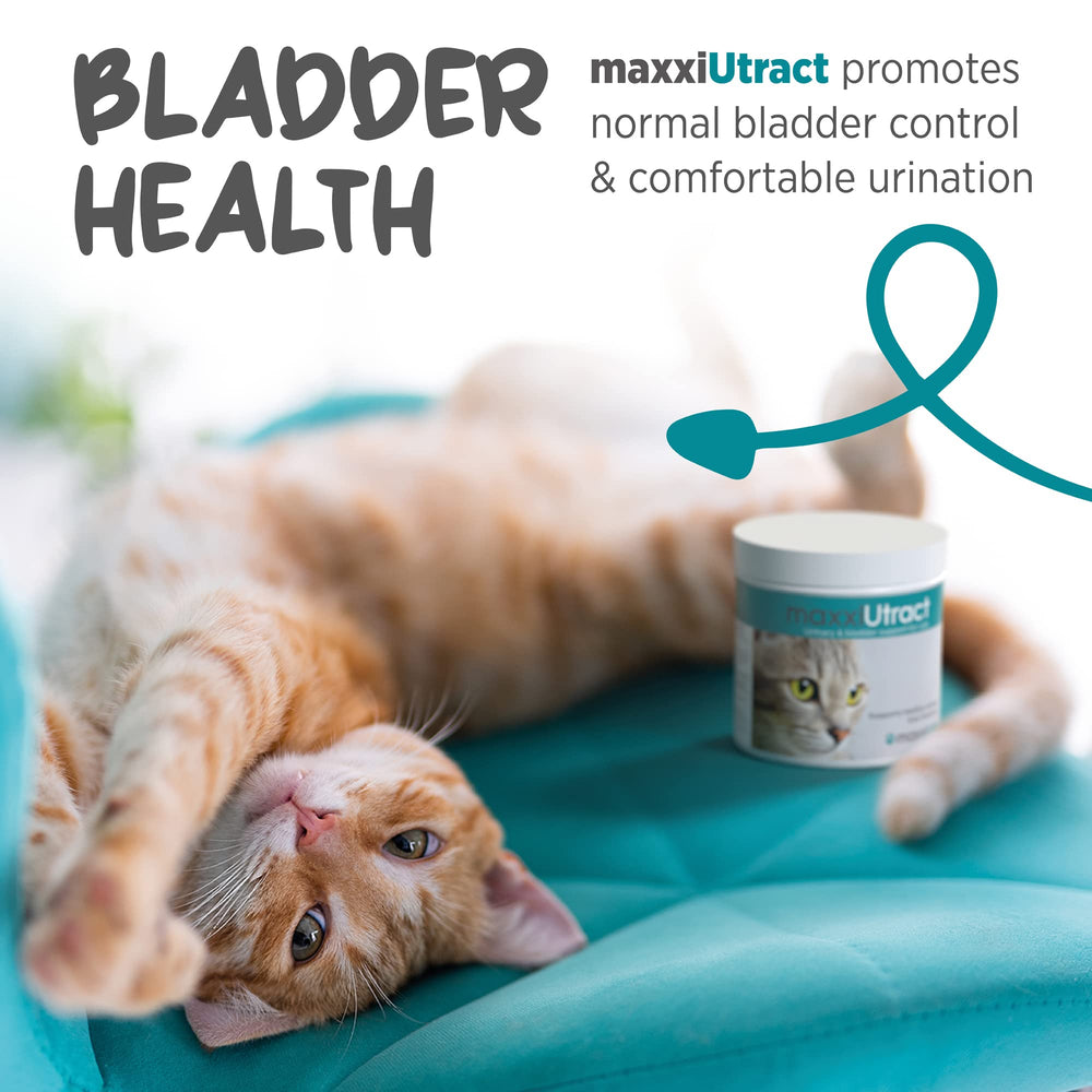 Maxxipaws maxxiuttract cranberry : mélange facile sur les repas