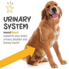 MaxxiUtract emballage pratique: rangement facile et utilisation propre.