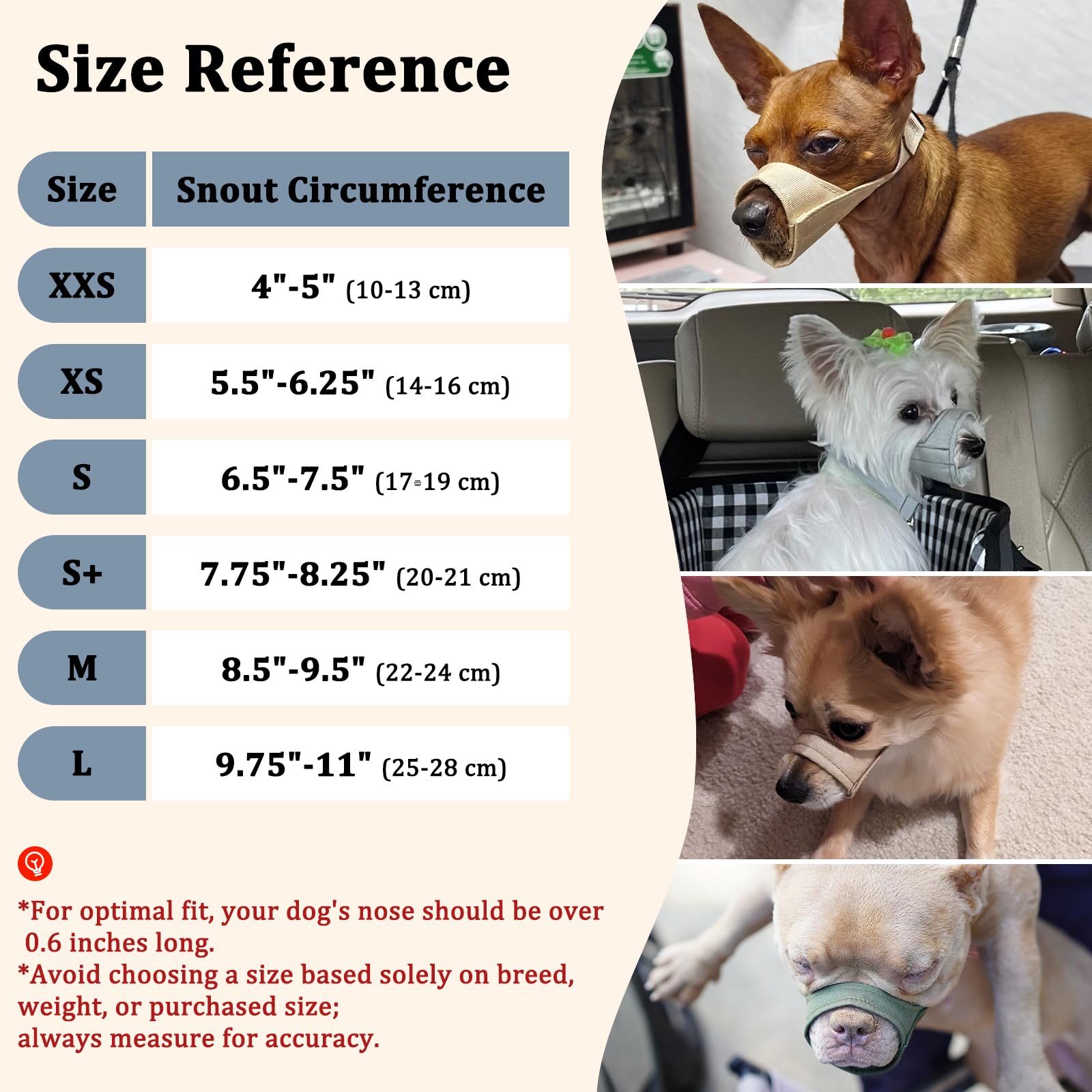 Mayerzon masque-chien-boxer-durabilite: conception robuste pour l'extérieur.