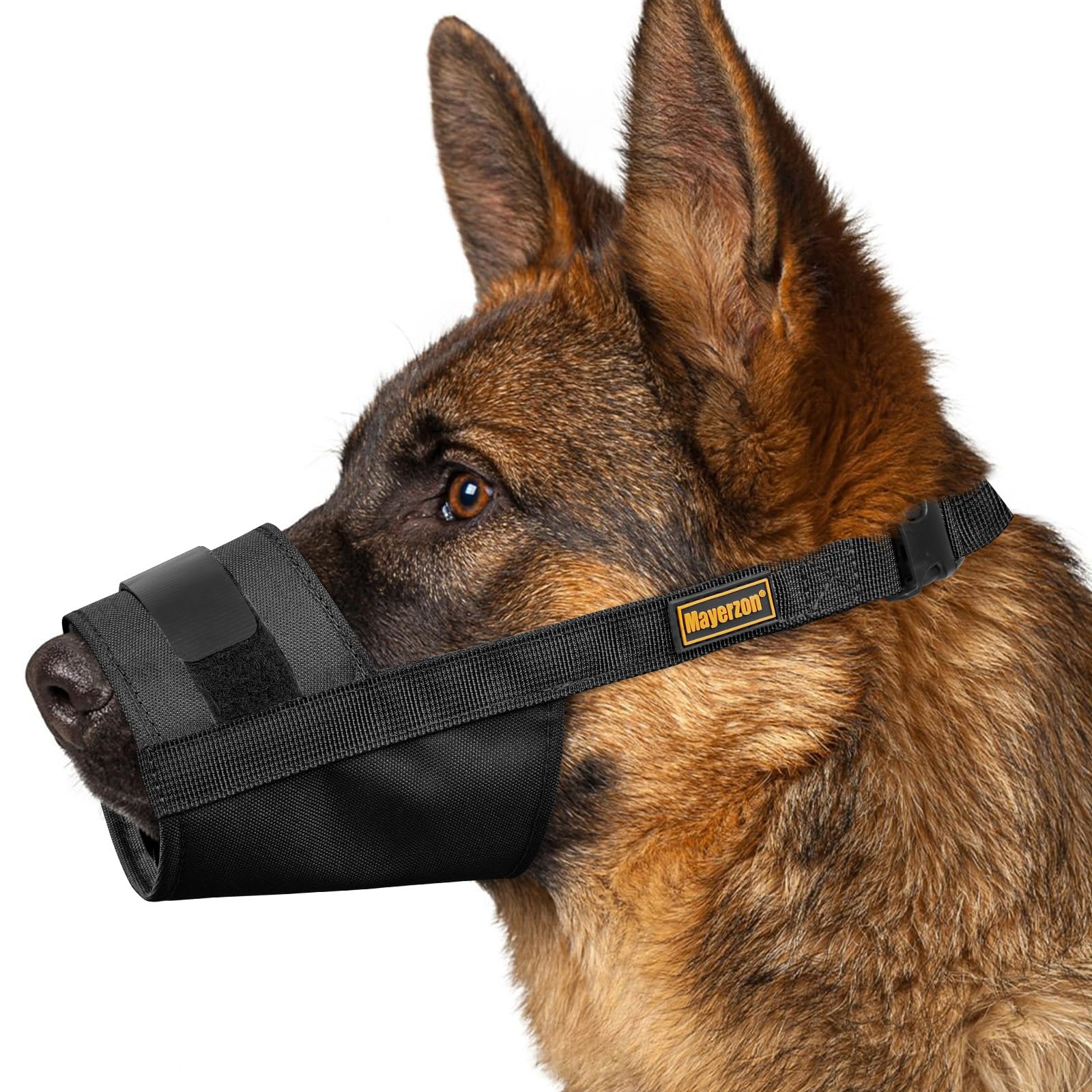 Mayerzon Muzzle pour chien, aperçu général, sécurité et confort en action.
