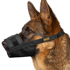 Mayerzon Muzzle pour chien, aperçu général, sécurité et confort en action.