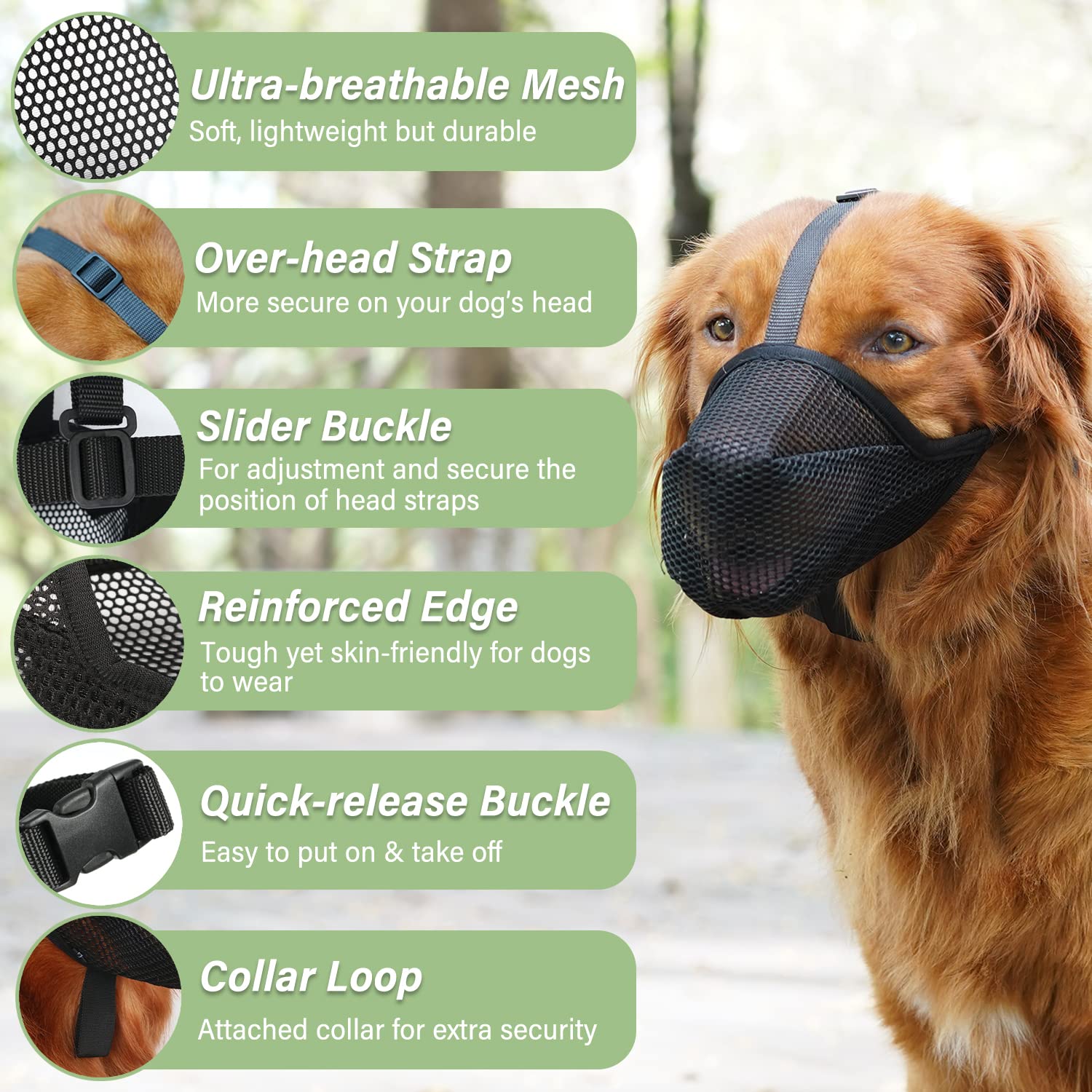 Mayerzon masque pour chien maillage doux, ventilation efficace pendant les sorties.