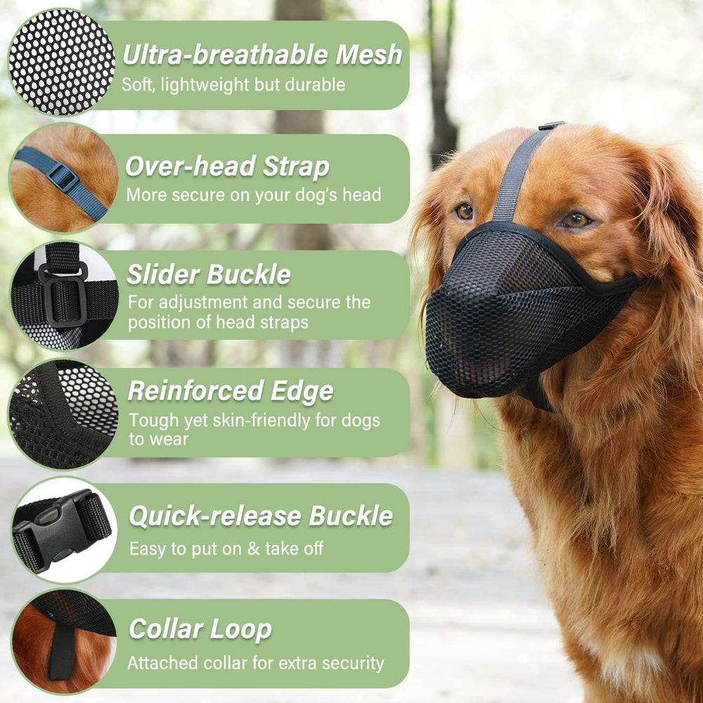 Mayerzon masque pour chien maillage doux, ventilation efficace pendant les sorties.
