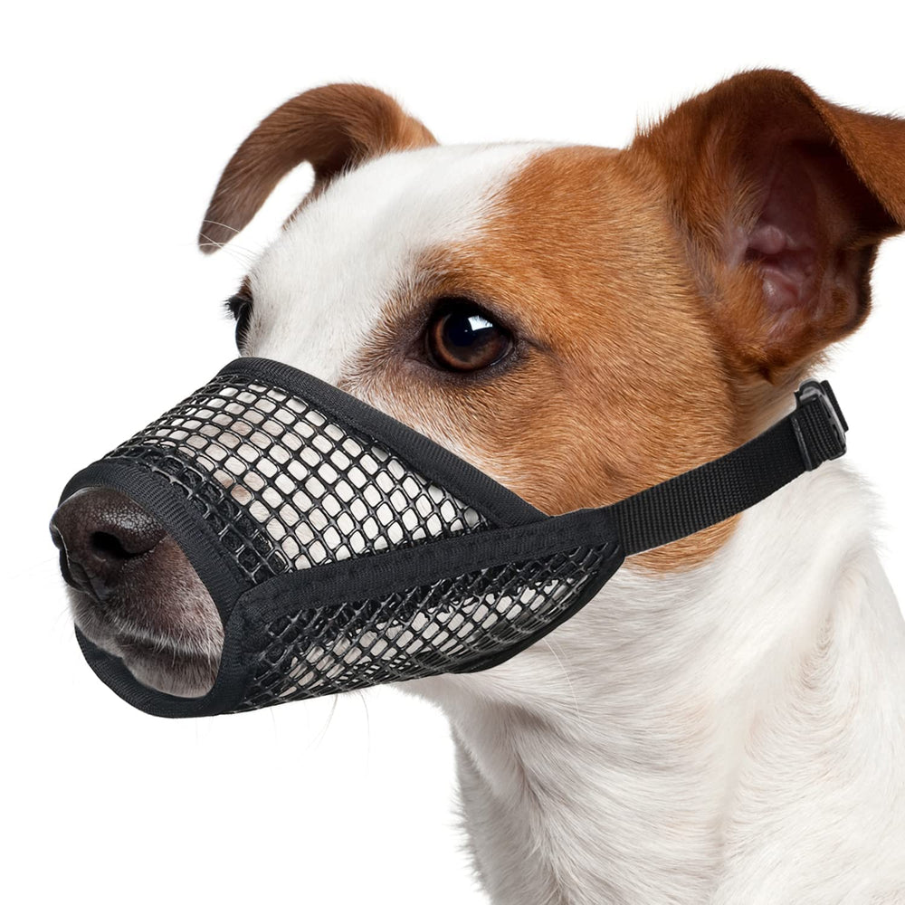 Mayerzon : masque chien maillage doux pour le confort.