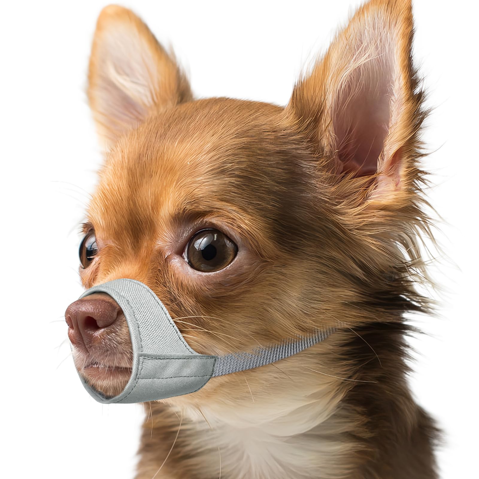 Mayerzon masque-chien-museau-court xxsmall: confort lors des sorties.