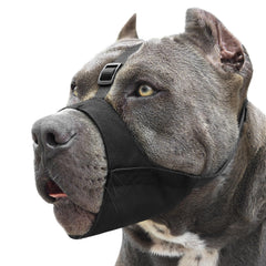 Mayerzon masque-chien avec sangle anti-glissement, pour des promenades plus sûres.