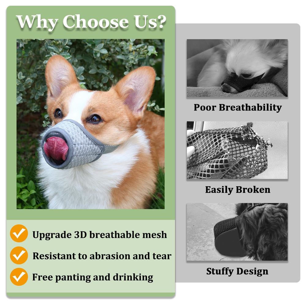 Mayerzon masque chien taille moyenne, ajustement ergonomique et sûr