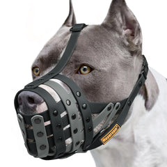 Mayerzon masque-panier Pitbull, vue avant, confort et sécurité accrus pendant les sorties.