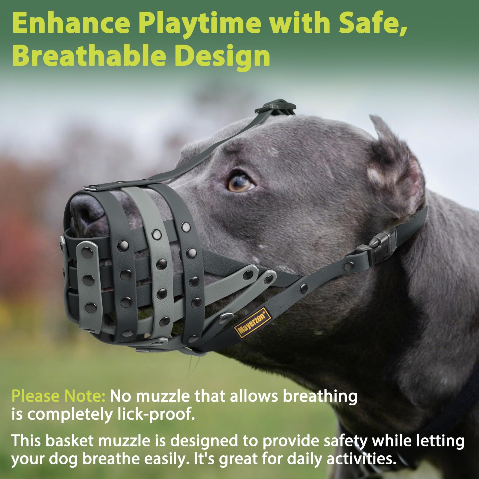 Mayerzon masque-panier Pitbull, prêt pour grooming et visites chez le vétérinaire.