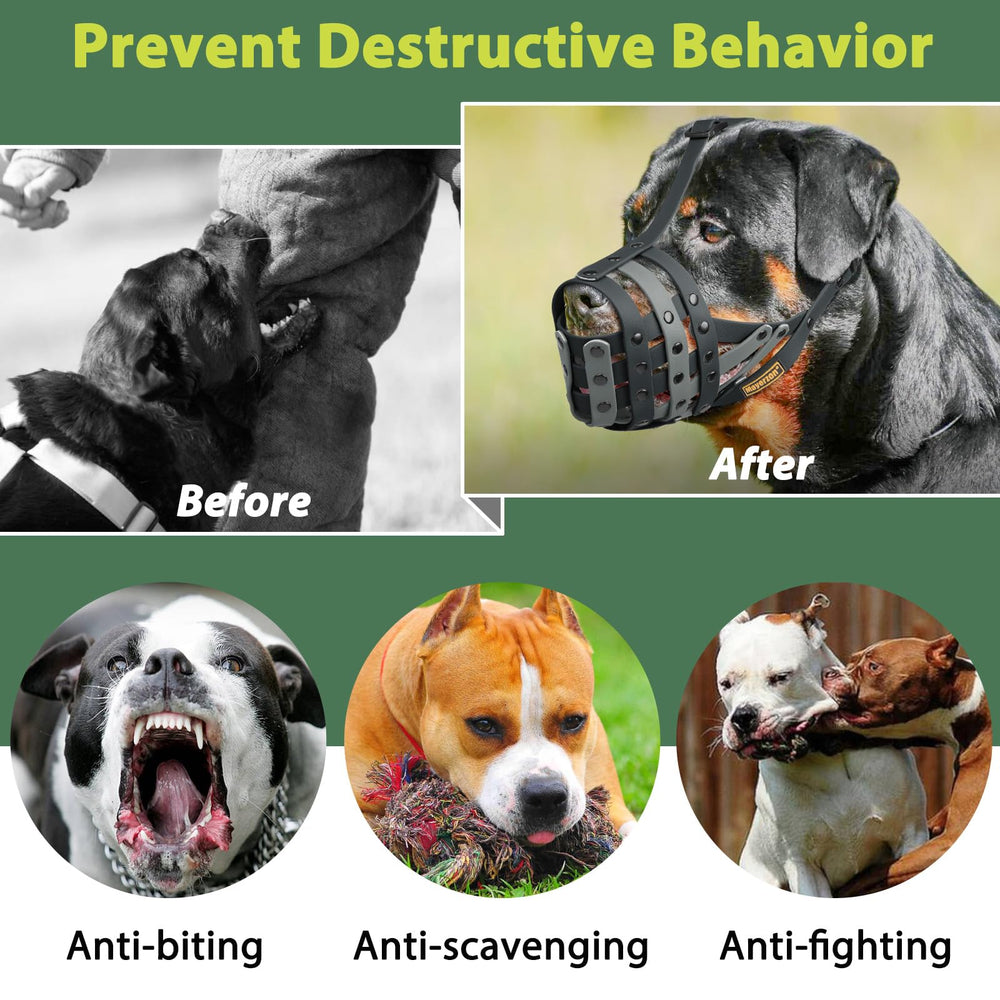 Mayerzon masque-panier Pitbull, usage quotidien discret et accepté lors des balades.