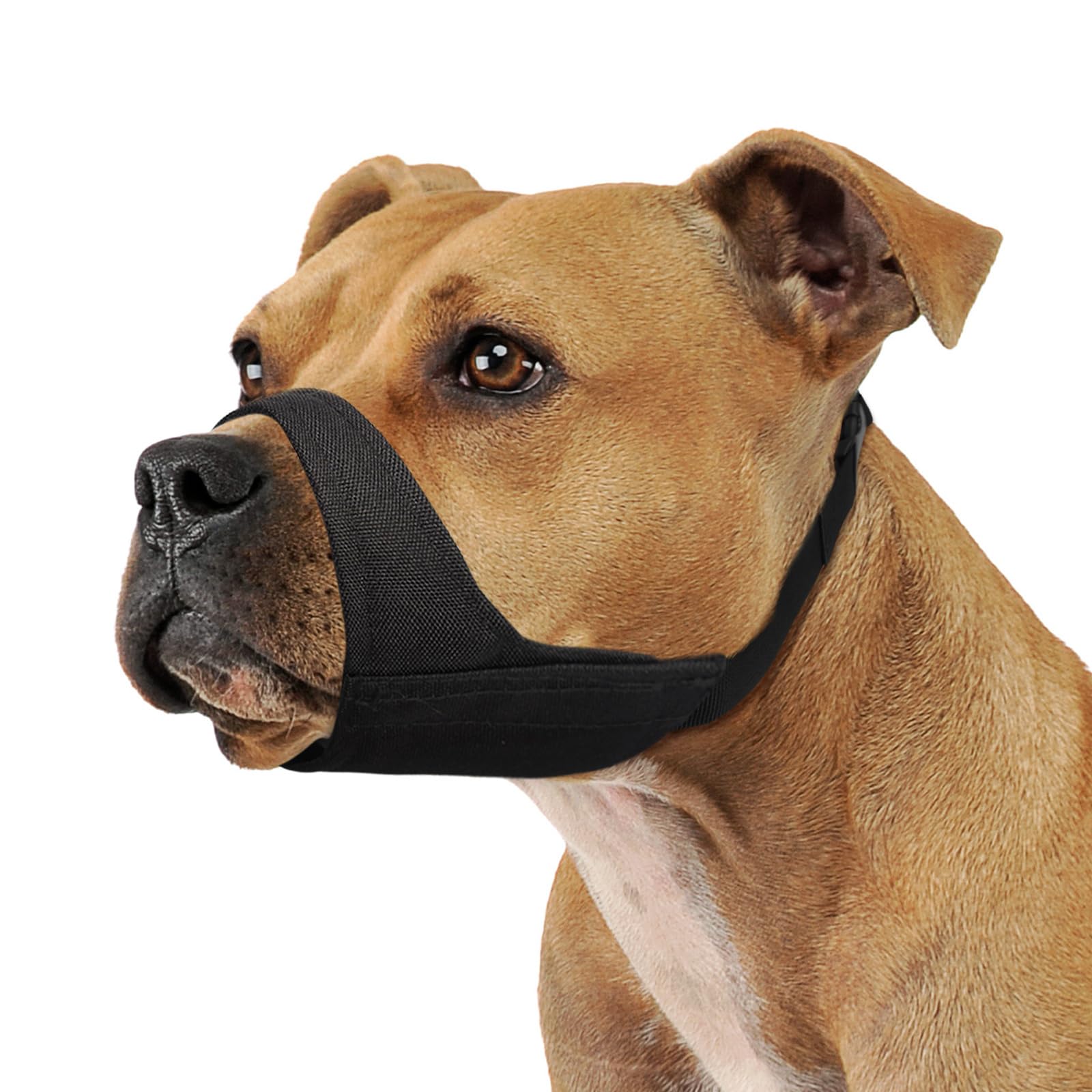 Mayerzon mufle grand chien: ajustement précis pour grande taille et confort.
