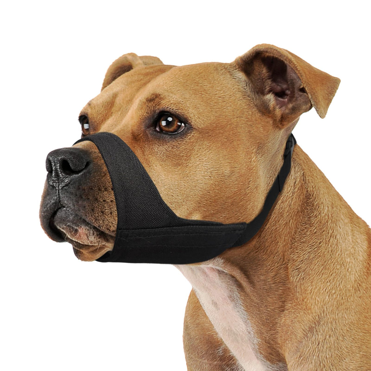 Mayerzon mufle grand chien: ajustement précis pour grande taille et confort.