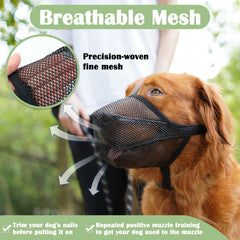 Mayerzon museau pour chien: fermeture rapide pour habillage et retrait faciles.