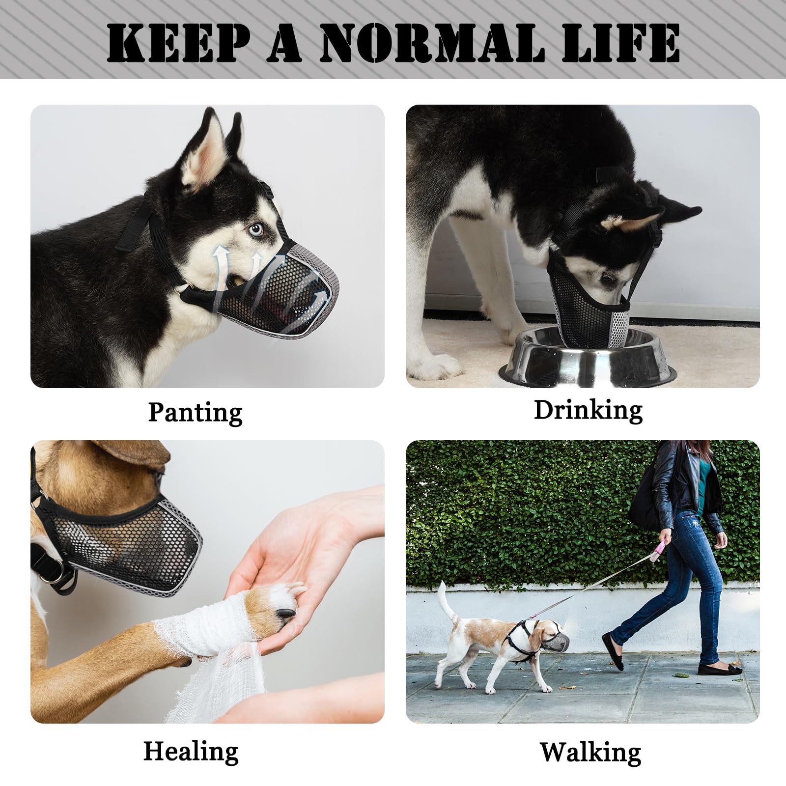 Mayerzon museau chien grooming visites veterinaire, pratique pour rendez-vous et toilettage.