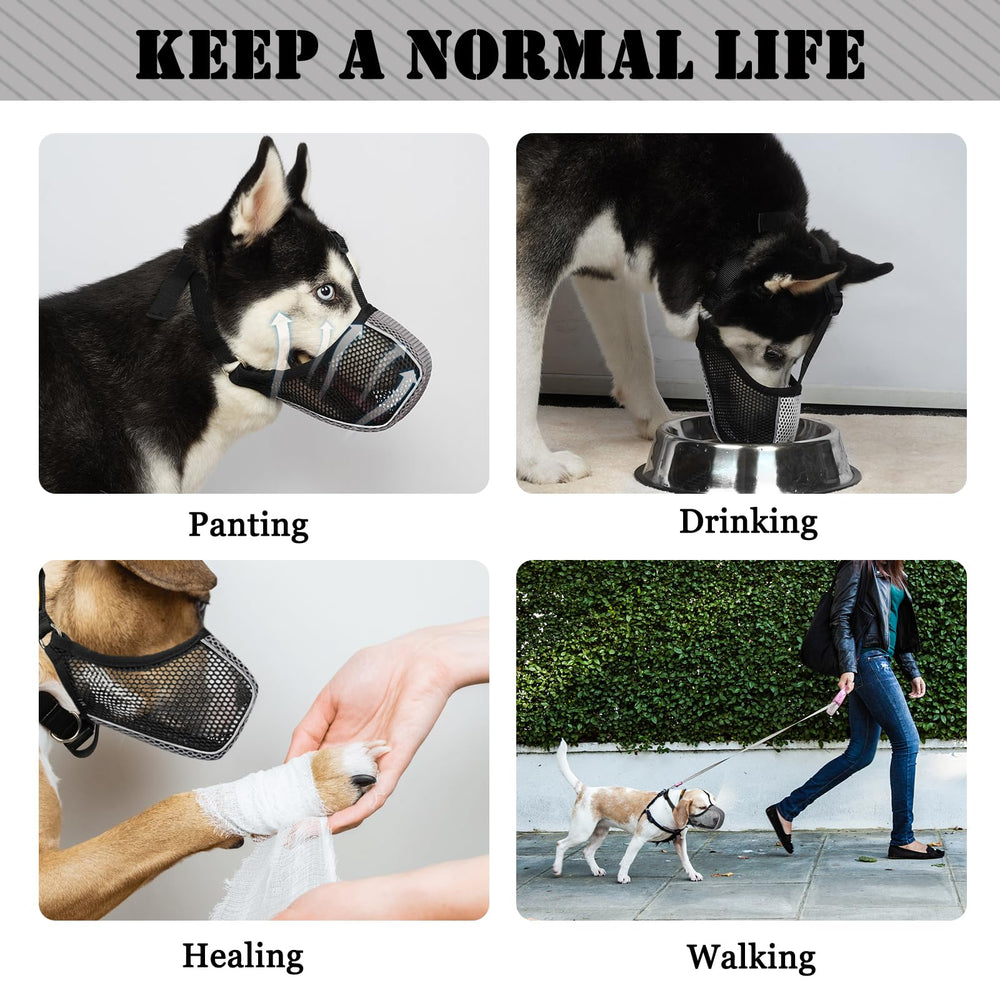 Mayerzon museau chien grooming visites veterinaire, pratique pour rendez-vous et toilettage.