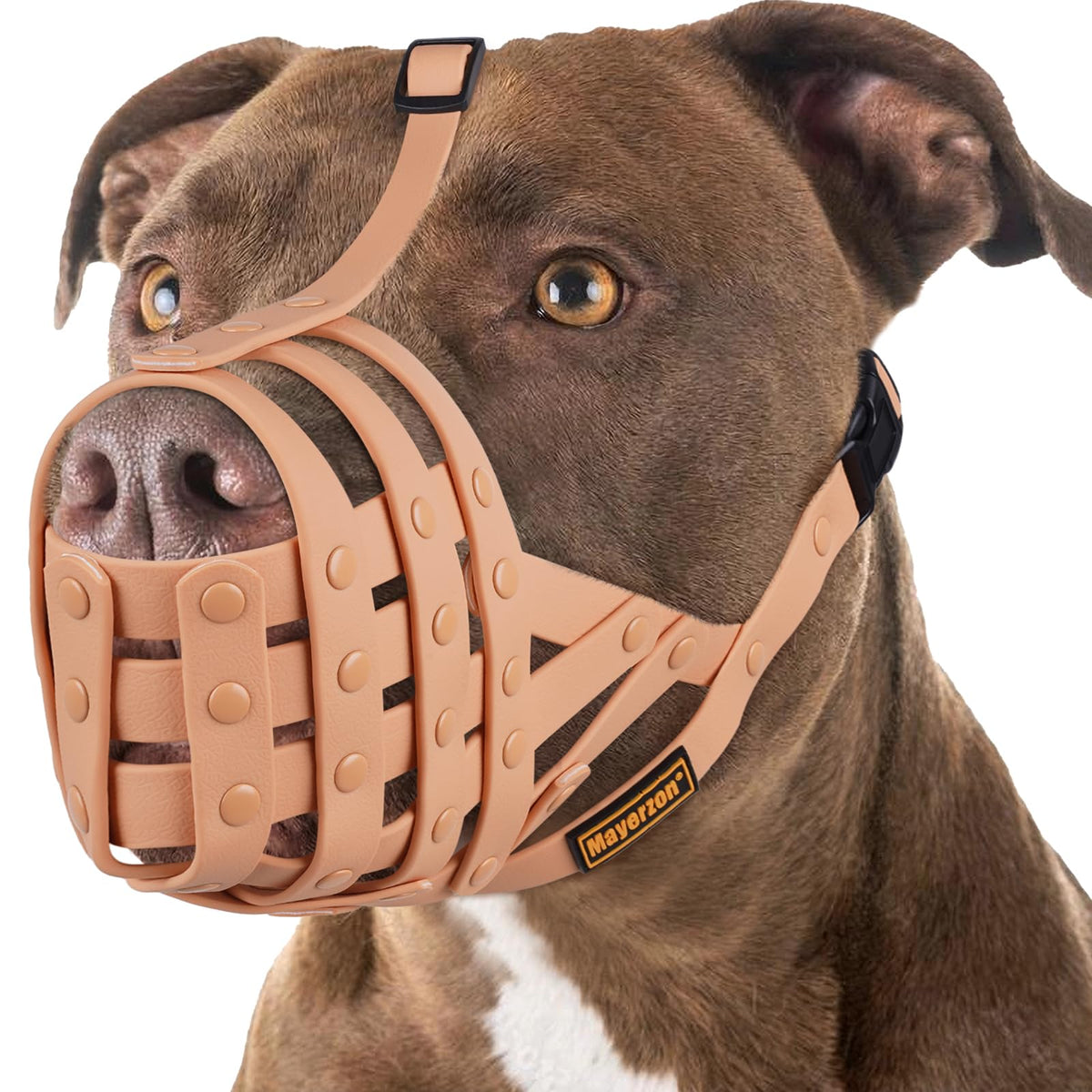 Mayerzon museau-chien gros taille ajustable pour promenade sécurisée.