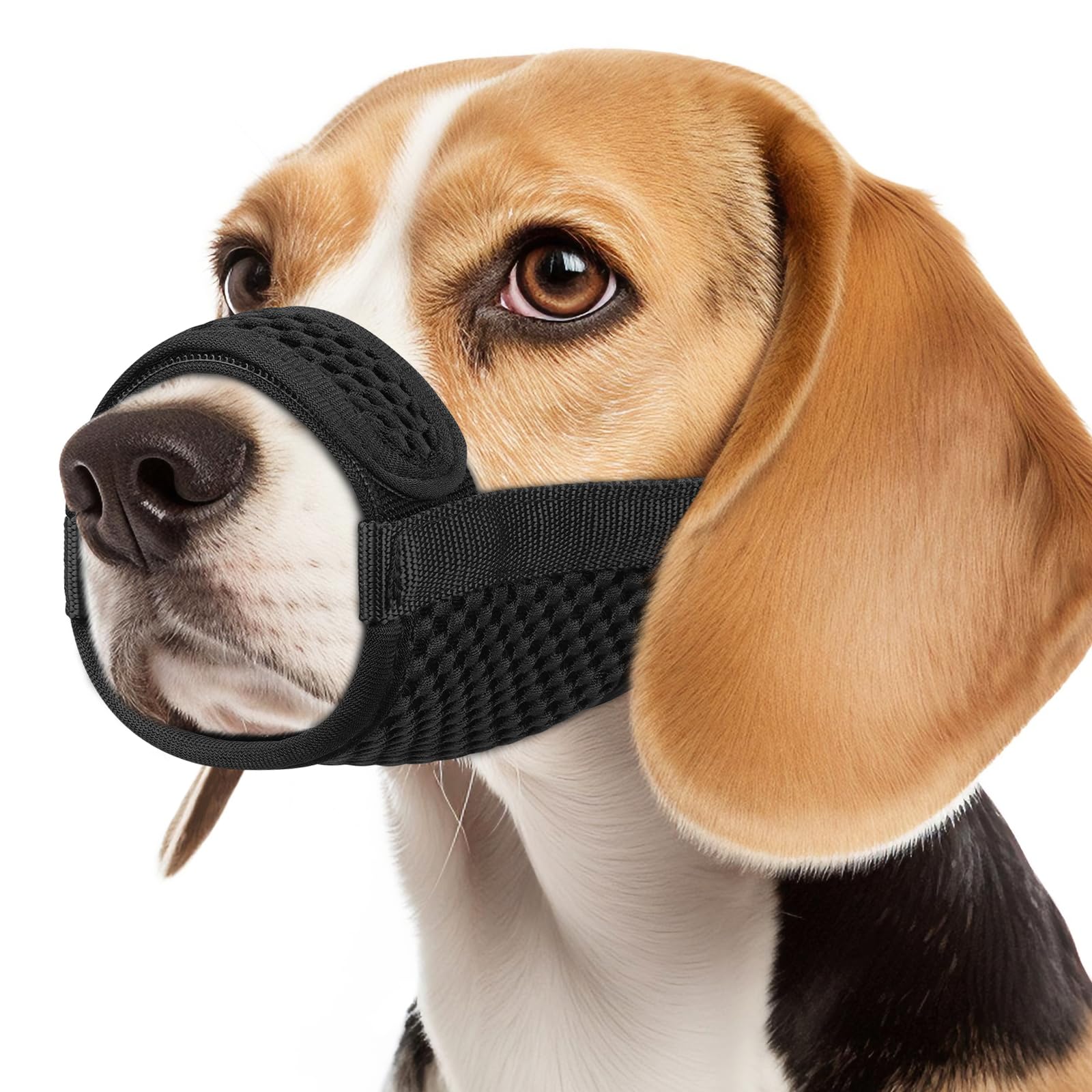Mayerzon museau en maille douce pour chien – confort lors des promenades.