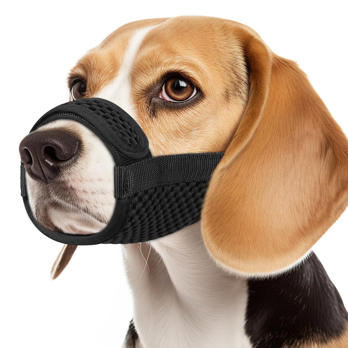 Mayerzon museau en maille douce pour chien – confort lors des promenades.