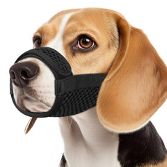 Mayerzon museau en maille douce pour chien – confort lors des promenades.