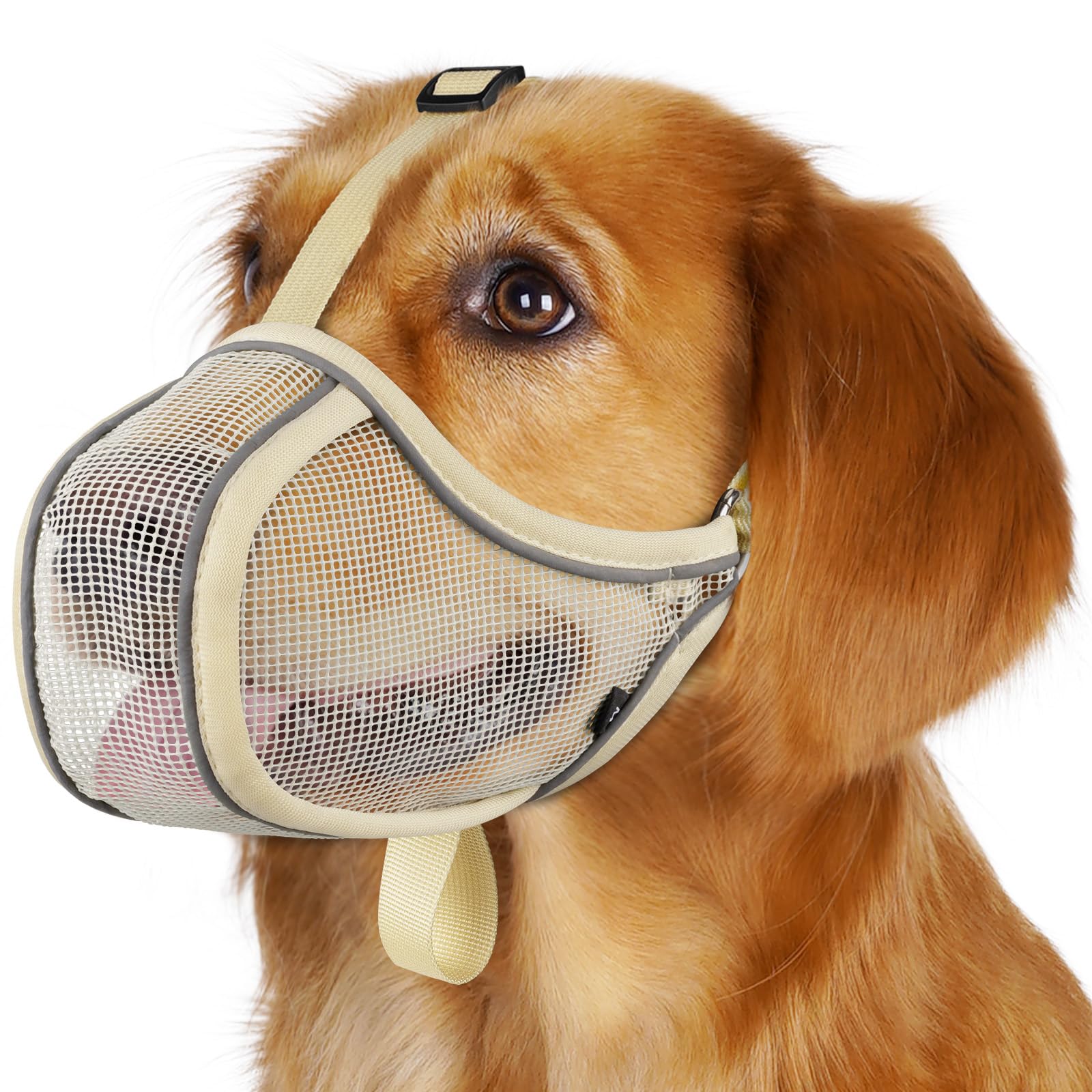 Mayerzon museau-chien mesh respirant pour promenades quotidiennes.