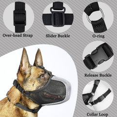 Mayerzon museau chien mesh ventilation, chien actif respire facilement.