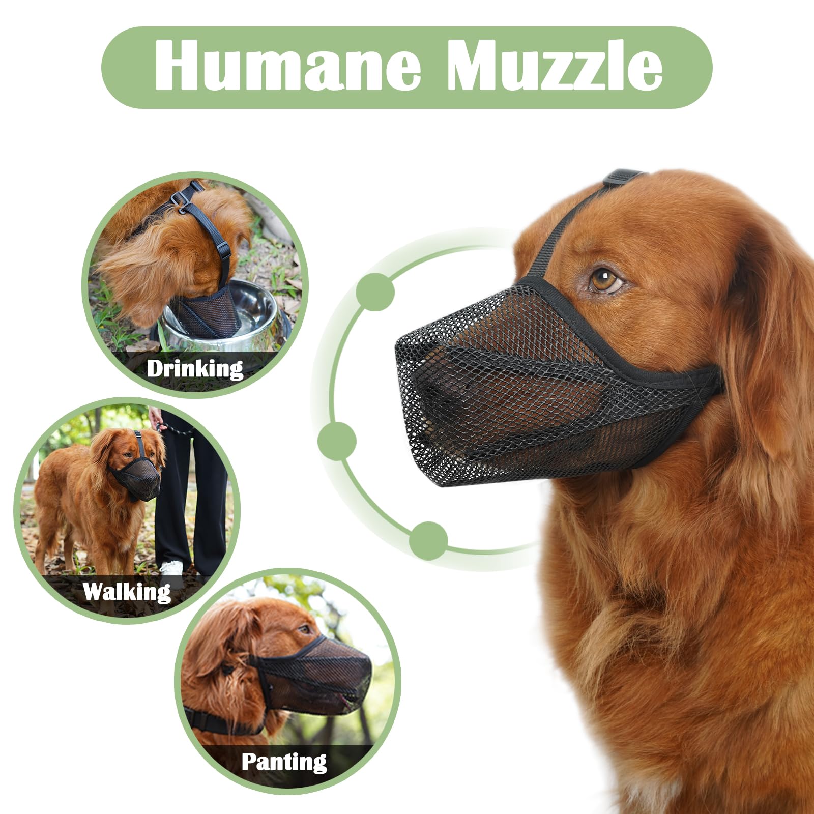Mayerzon museau pour chien: respectueux permet boire et bouger lors des sorties quotidiennes.
