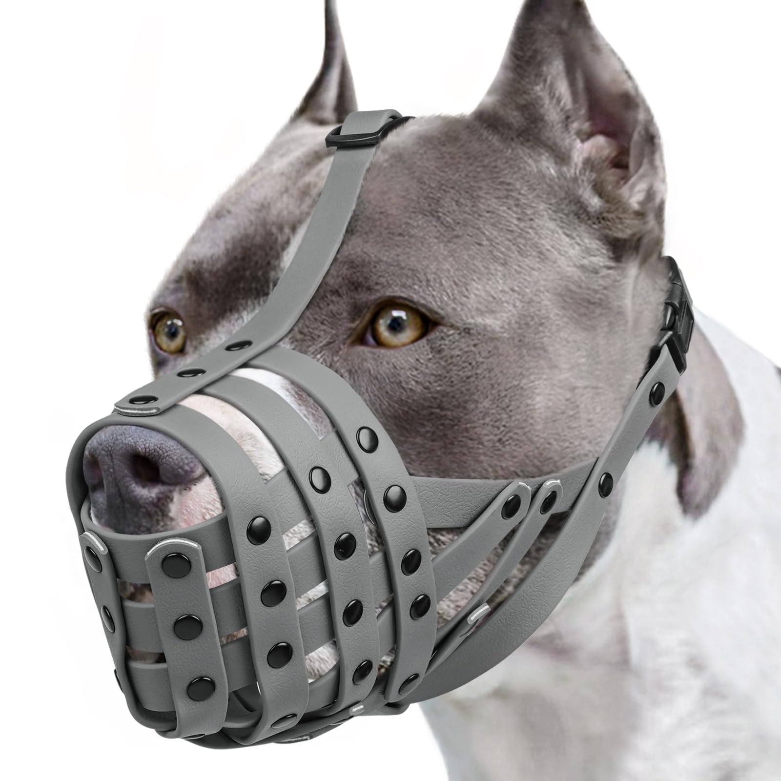 Mayerzon Museau Panier Léger sur un grand chien, confort et liberté de mouvement.