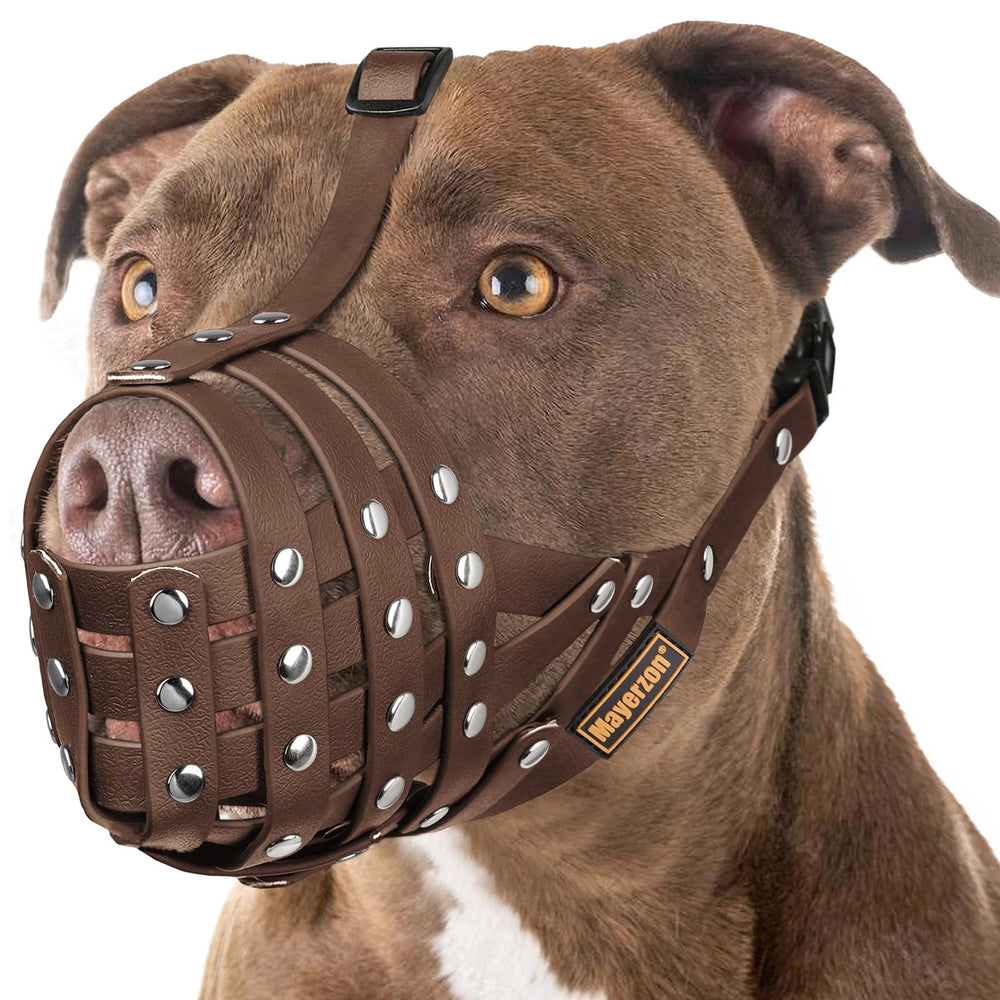 Muselière Mayerzon en cage pour Pitbull, ajustement parfait pour grand chien.
