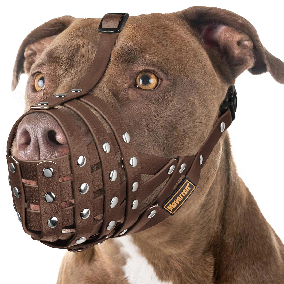 Muselière Mayerzon en cage pour Pitbull, ajustement parfait pour grand chien.