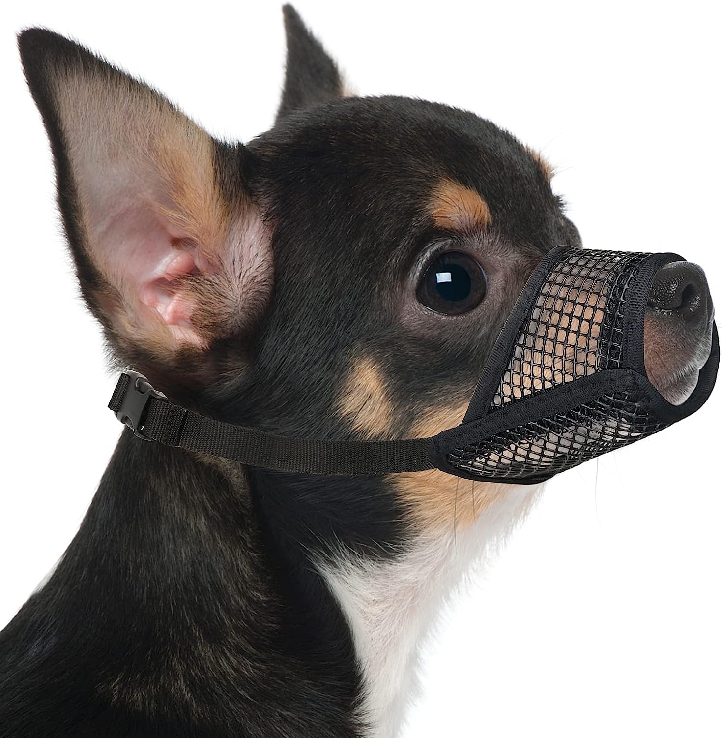 Mayerzon muselière pour petit chien, maillage respirant et confort.