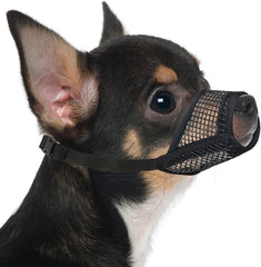 Mayerzon muselière pour petit chien, maillage respirant et confort.