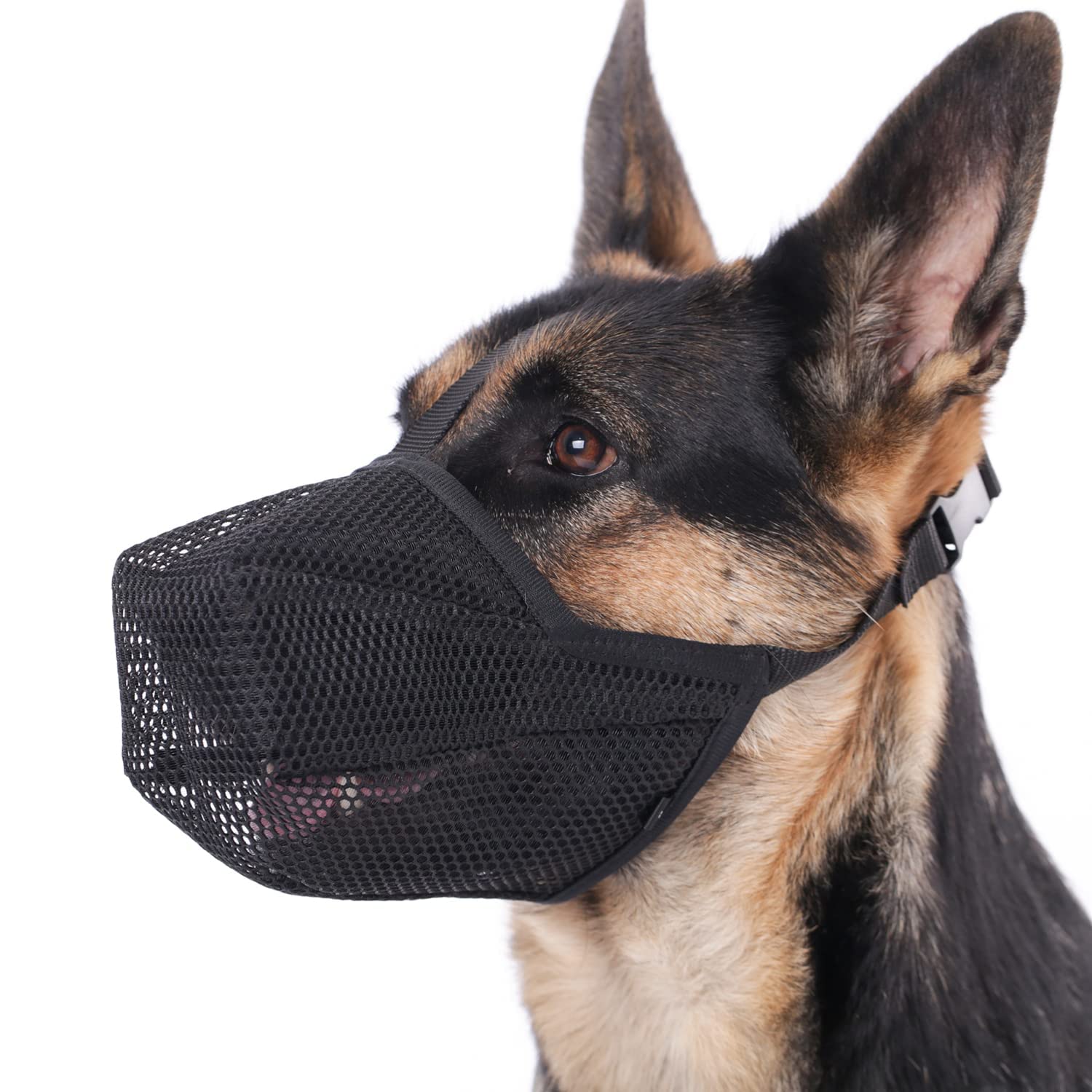 Masque Mayerzon pour chien, maille douce à l avant, confort optimal lors des balades.
