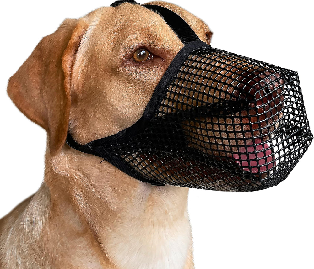 Mayerzon muselière pour chien en maille douce, confort respiratoire.