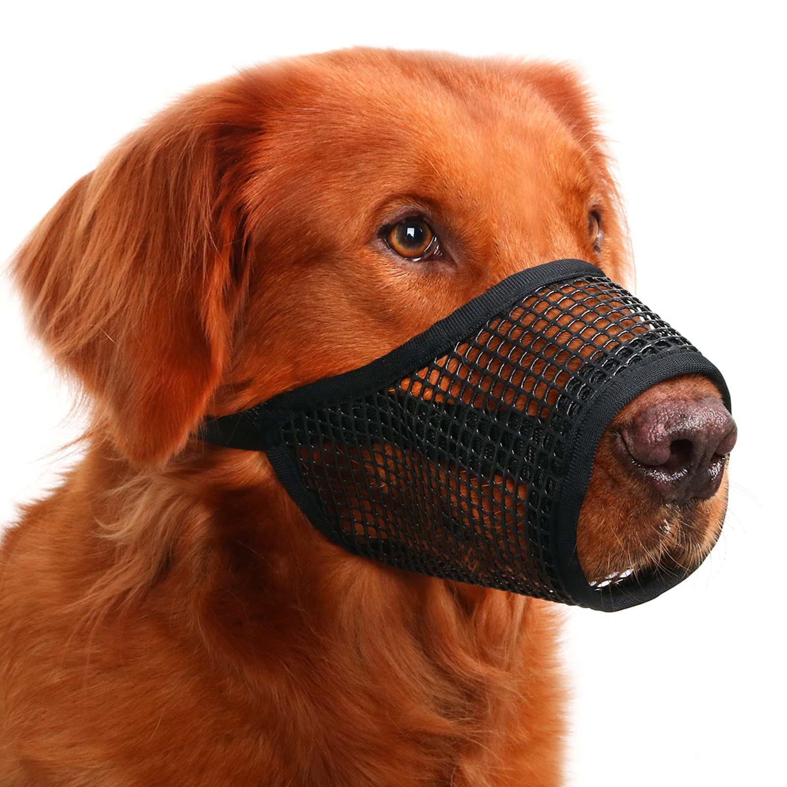 Mayerzon muselière-chien-mesh-douce: respirabilité douce lors des promenades.